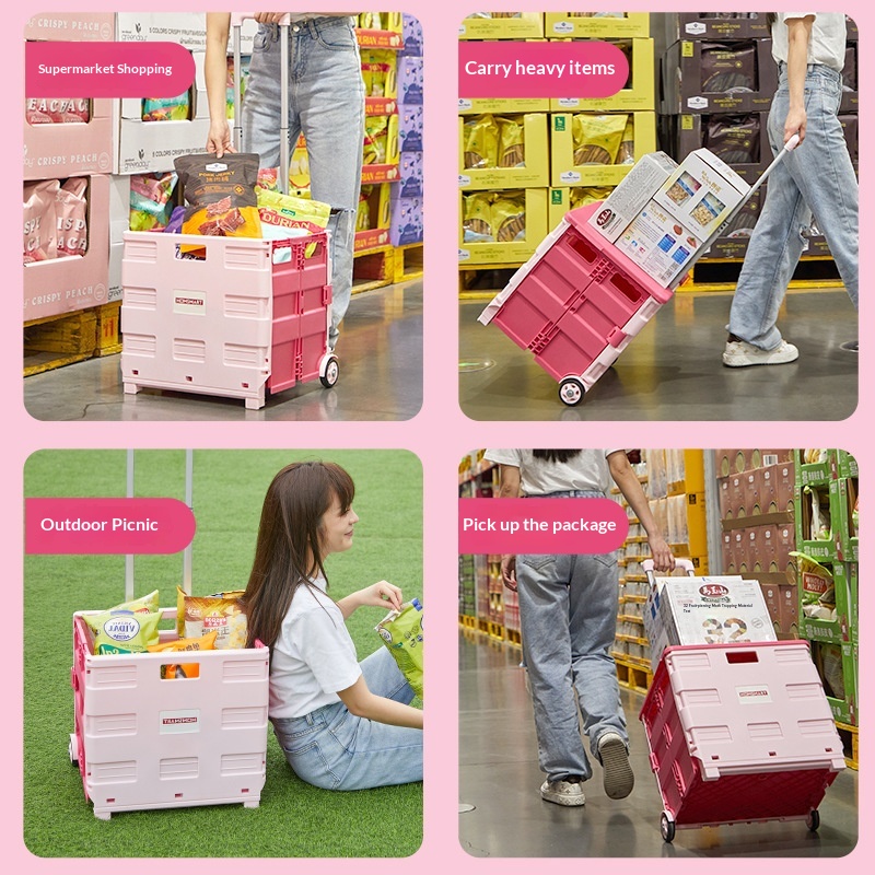 Carrello Pieghevole Portatile  - Sports Equipment Trolley recensione e prezzo