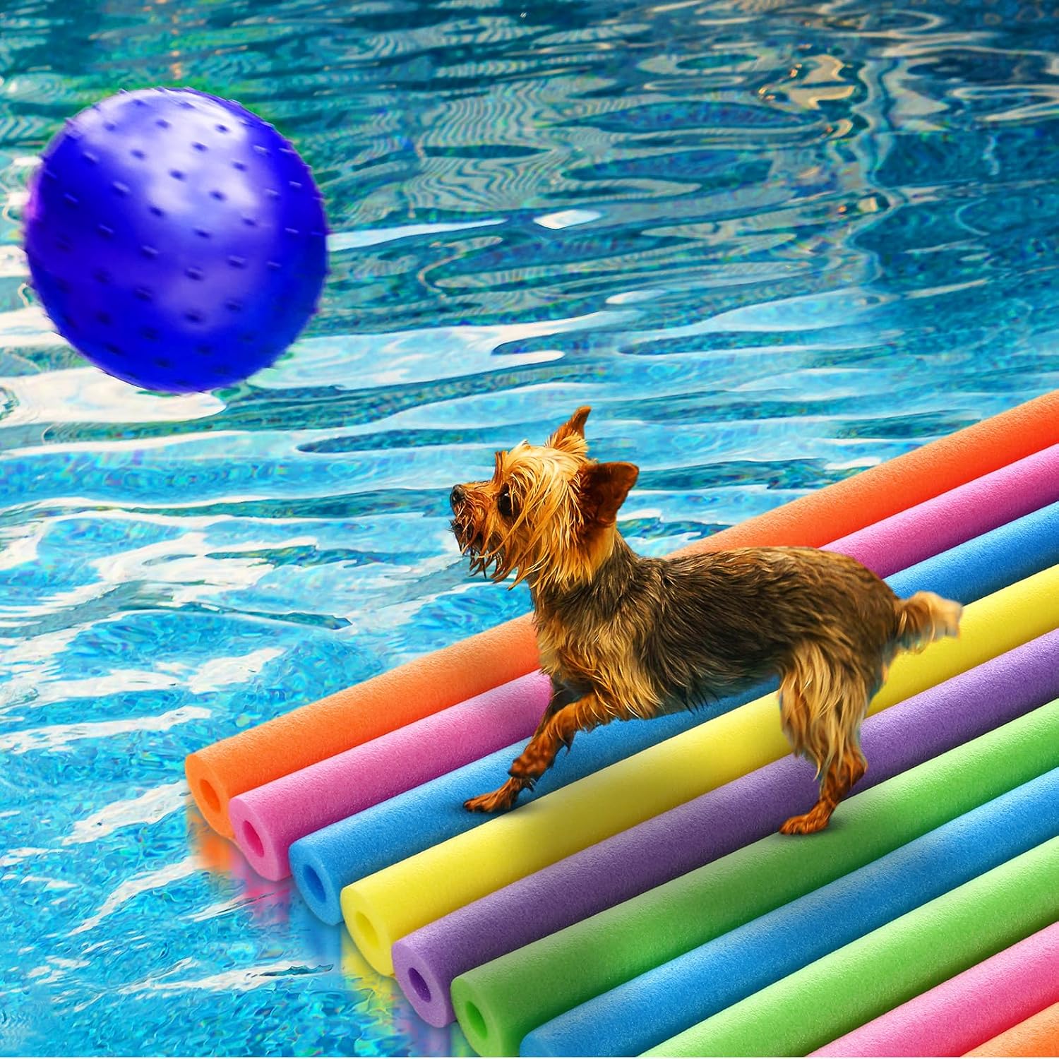 Confezione da 18 galleggianti  - Foam Pool Noodle recensione e prezzo