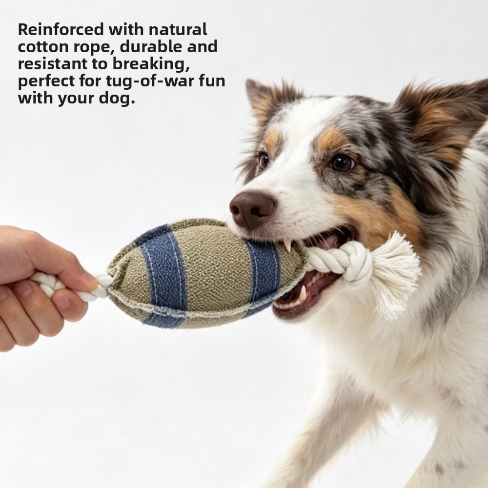 Palla da Masticare per Cani a  - Rugby Training Ball recensione e prezzo