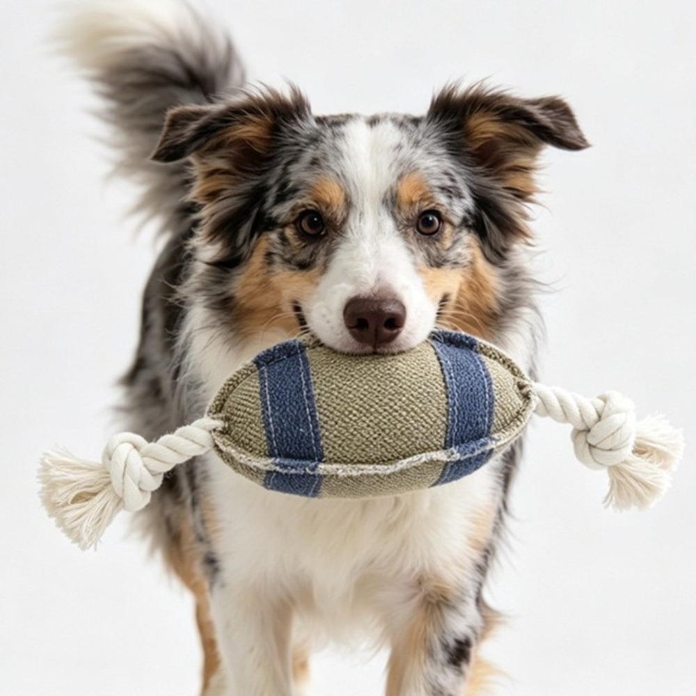 Palla da Masticare per Cani a  - Rugby Training Ball recensione e prezzo