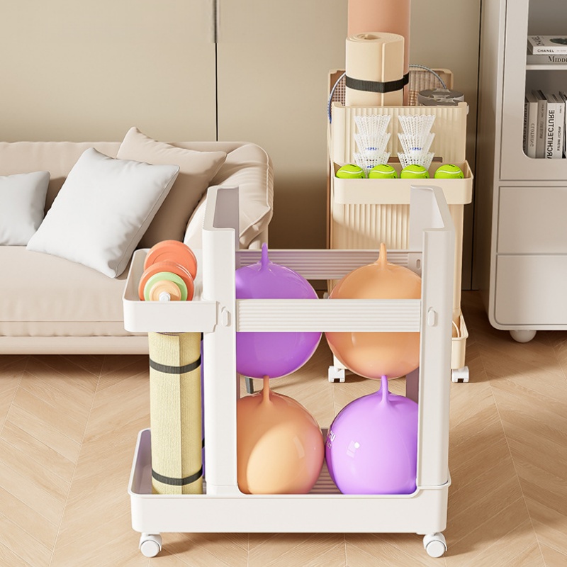 Carrello Portaoggetti per Attr - Sports Equipment Trolley recensione e prezzo